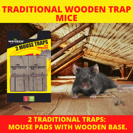 Mouse trap – wooden – plywood or beech base