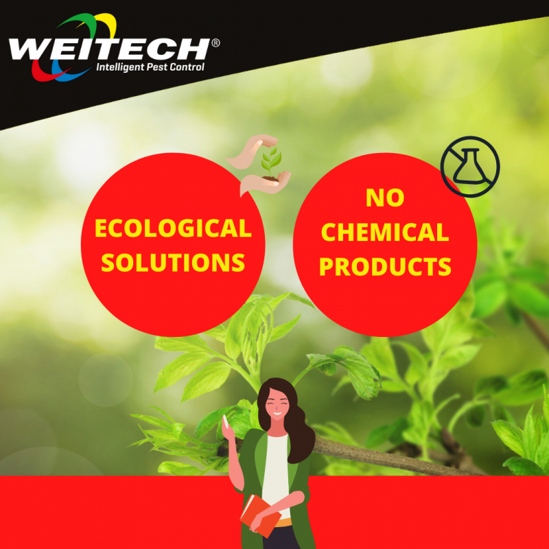 WEITECH  MOUSE & RAT GLUE for traps